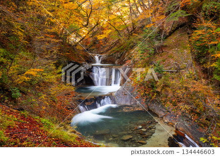 從西澤谷健行步道上眺望秋色迷人的七津釜五段瀑布，位於山梨縣山梨市三富川浦市笛吹川上游。 134446603
