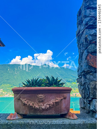 Rustic terracotta garden planter featuring a lion against a stone wall Rustic terracotta garden planter featuring a lion against a stone wall 134446845