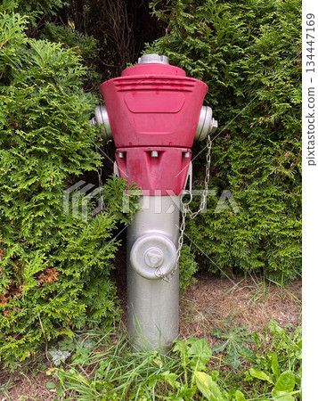 Red European Above-Ground Fire Hydrant on Grass 134447169