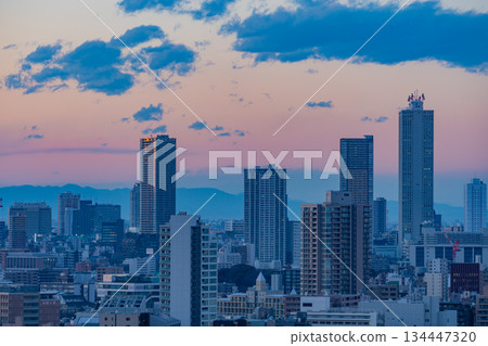 [Tokyo] Tokyo cityscape, Ikebukuro area, evening view 134447320