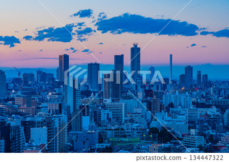 [Tokyo] Tokyo cityscape, Ikebukuro area, evening view 134447322