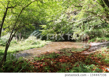 Kitanizawa Gorge, Oku-Daisen, Kofu Town, Hino District, Tottori Prefecture Kitanizawa Gorge, Oku-Daisen, Kofu Town, Hino District, Tottori Prefecture 134447336