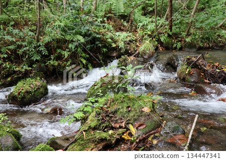 鳥取縣日野郡甲府町奧大山北谷澤峽谷 134447341