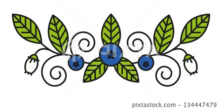 Farm blueberry plant line divider or spacer. Farm plant thin line separator line, ripe wild blueberry lineart vector frame border. Garden fruit linear divider or forest berry underline spacer 134447479