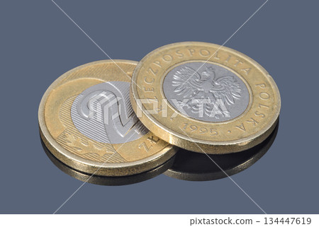 Coins of two Polish zloty Coins of two Polish zloty 134447619