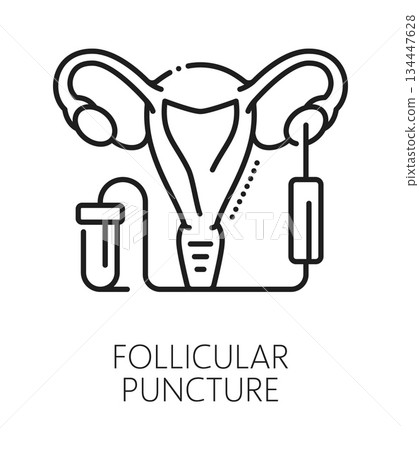 Follicular puncture gynecology healthcare line icon or sign. Urinary health and fertility lineart icon, pregnancy healthcare vector symbol. Gynecology procedure health pictogram with uterus organ 134447628