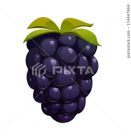 Cartoon ripe berry, isolated blackberry fruit with green leaves. Vector fresh, natural, raw food for culinary, health and healthy eating. Sweet garden or forest berry, black raspberry, juicy dessert 134447664