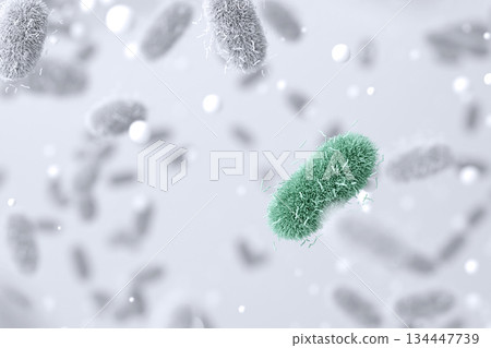 Microscopic images of mold and microbial cultures Research on bacteria and viruses Microscopic images of mold and microbial cultures Research on bacteria and viruses 134447739