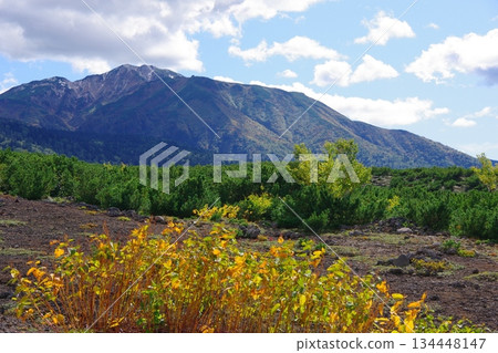 從北海道美瑛的菩提台眺望富良野山 134448147