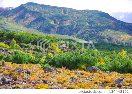 從北海道美瑛的菩提台眺望三段山 134448161