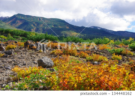 從北海道美瑛望岳台眺望三段山和禦嶽山 134448162