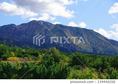 從北海道美瑛的菩提台眺望富良野山 134448208