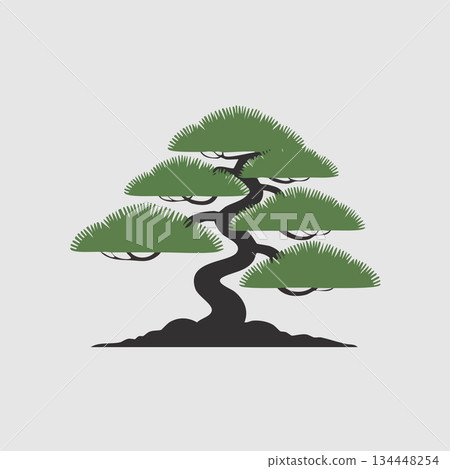 Elegant bonsai tree with twisted trunk and lush green leaves 134448254