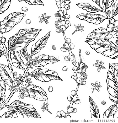Seamless pattern with curved coffee branches. Vector illustration for coffee shop design, menus, packaging, interior design, and fabric printing. 134448295