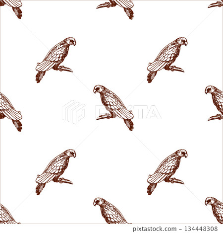 Seamless pattern with parrots. Vector illustration of birds for packaging, fabric printing, and pet store interior design. 134448308