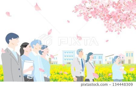 Cherry blossom trees and rape blossoms blooming along the bank - Various people - Business people - Spring - People vector illustration background material 134448309