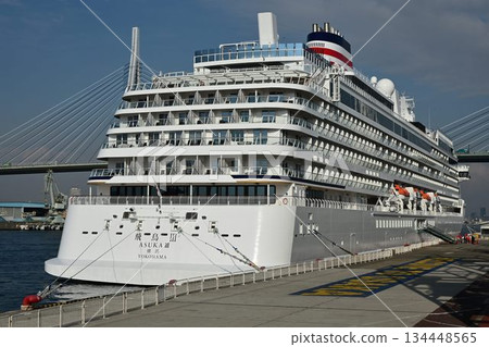 遊輪在大阪港 134448565