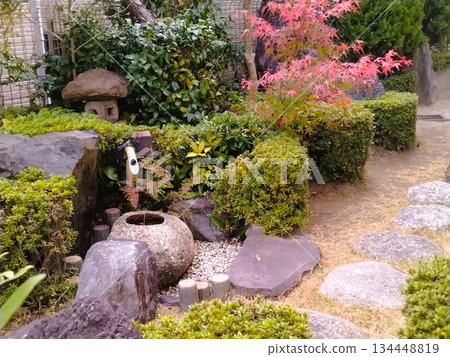 Autumn leaves landscape - Japanese-style garden with autumn leaves 134448819
