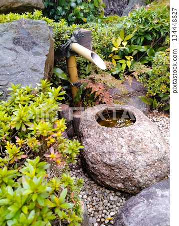 秋葉景觀－日式秋葉庭園 134448827