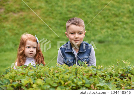 Caucasian young boy and girl playing outdoors in green park with lush foliage 134448846