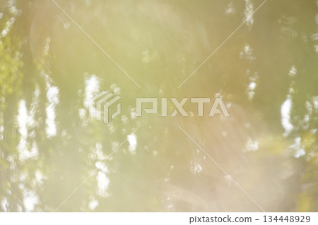 Abstract nature bokeh background with soft green and yellow light patterns 134448929
