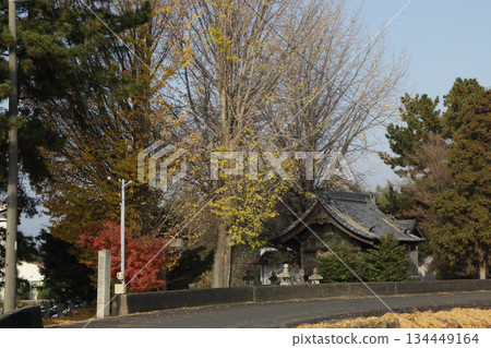 Late Autumn at the Local Shrine 134449164