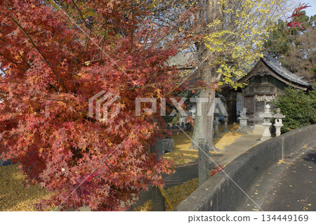 Late Autumn at the Local Shrine 134449169