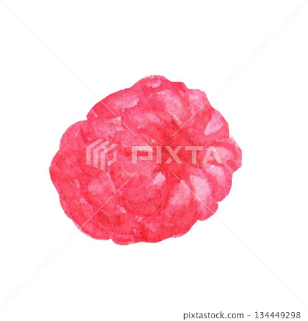 Isolate delicious aromatic strawberry berry hand drawn in watercolor on isolated background for menu design, advertising in bakery, confectionery, store, fabric, stickers, dessert decoration, baking. Isolate delicious aromatic strawberry berry hand drawn in watercolor on isolated background for menu design, advertising in bakery, confectionery, store, fabric, stickers, dessert decoration, baking. 134449298