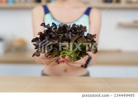 Fresh Organic Lettuce for Healthy Eating and Sustainability Fresh Organic Lettuce for Healthy Eating and Sustainability 134449495