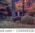 Autumn leaves in the garden of Sanzenin Temple, Kyoto 134449526