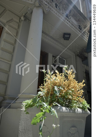 New York Manhattan: Entrance to a traditional house New York Manhattan: Entrance to a traditional house 134449689