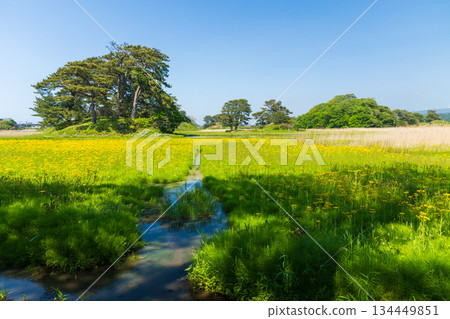 秋田縣仁賀保市的初夏、木坂九十九島 秋田縣仁賀保市的初夏、木坂九十九島 134449851