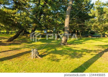 Early summer at Kanmanji Temple, the northernmost point of the "Oku no Hosomichi" in Nikaho City, Akita Prefecture 134449885