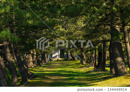 Early summer in Nikaho City, Akita Prefecture: The northernmost point of "Oku no Hosomichi" - Kanmanji Temple, old approach 134449914
