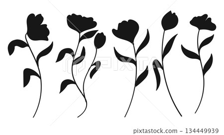 Silhouette of various flowers with stems and leaves in a row illustration 134449939