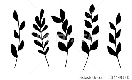 Collection of black silhouette leaves.Vector Illustration 134449988