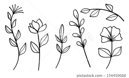 Botanical Leaves and Flowers Line Hand Drawn Vintage Collection Vector Set Botanical Leaves and Flowers Line Hand Drawn Vintage Collection Vector Set 134450088