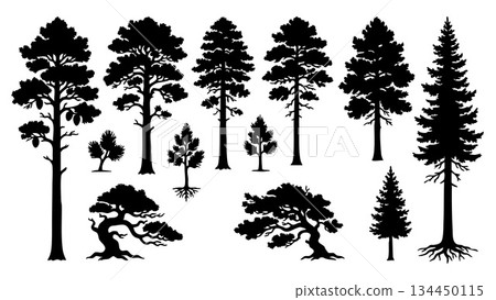 Silhouette Pine Trees Collection Abstract Vector Illustration Nature Forest Elements.Vector Bundle 134450115