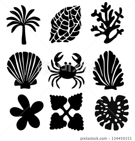 Silhouette Tropical Sea Nature Element Decorative Collection.Vector Illustration Silhouette Tropical Sea Nature Element Decorative Collection.Vector Illustration 134450151