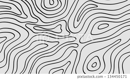 Abstract Contour Topographic Line Pattern in Black and White Background. 134450171