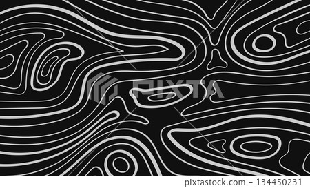 Abstract Black and White Background with Modern Topographic Hand Drawn Contour Lines Organic Minimalist Design.Vector Illustration 134450231