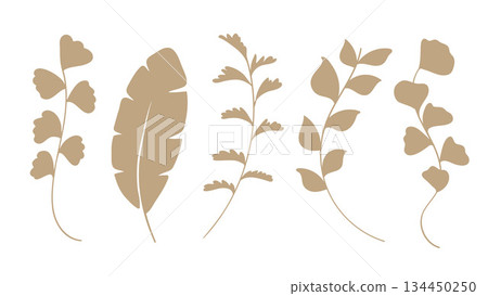 Silhouette Gold Leaves Elements Botanical Collection Tropical Fern Branch Home Decor.Vector Set Silhouette Gold Leaves Elements Botanical Collection Tropical Fern Branch Home Decor.Vector Set 134450250