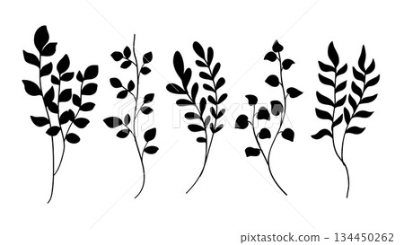 Silhouette of various botanical leaves on a white background. 134450262