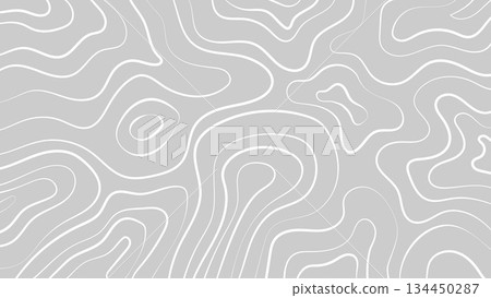 Gray Topographic in Lines and Contours Conditional Geography Scheme Terrain Path.Vector Background 134450287