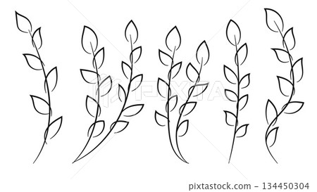 Hand drawn floral elements collection.Vector illustration Hand drawn floral elements collection.Vector illustration 134450304