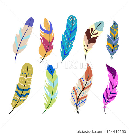 feather exotic bird set cartoon vector illustration 134450360