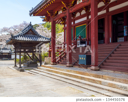 [Nara Prefecture] Yata-dera Temple (Kongosan-ji Temple) in Yamatokoriyama City (photographed on April 9, 2025) 134450376