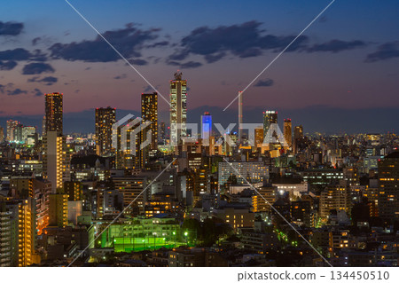 【東京】東京城市景觀，池袋地區，夜景 134450510