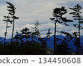 Pine forest and mountain scenery of Mount Akagi in Gunma Prefecture 134450608