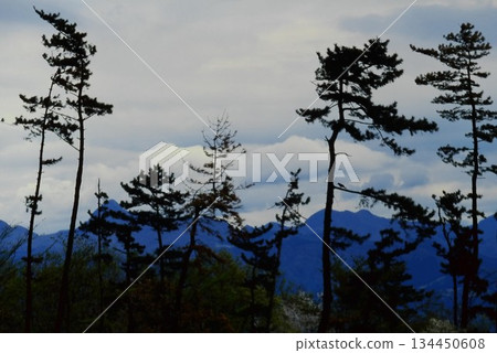 群馬縣赤城山的松林與山景 134450608